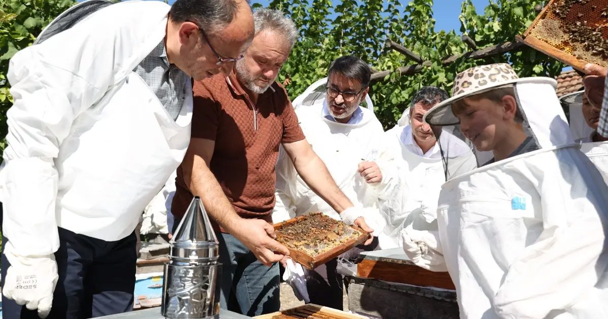 Bursa Büyükşehir’den Keles’te bal hasadı