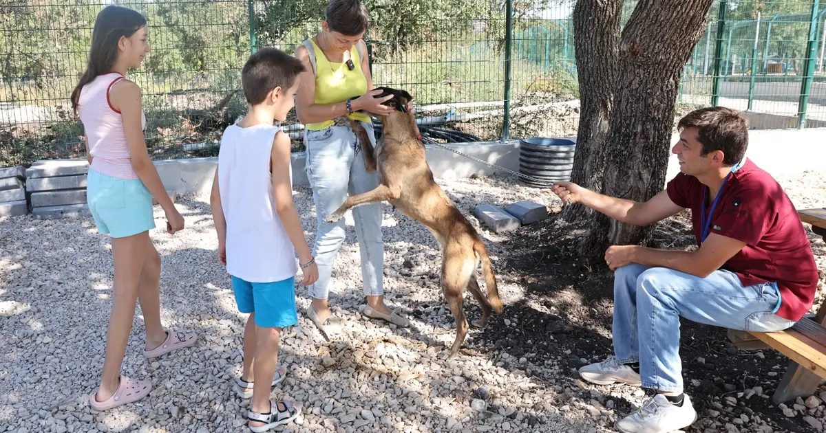 Bursa Nilüfer’de ‘Umut’ yeni yuvaya kavuştu