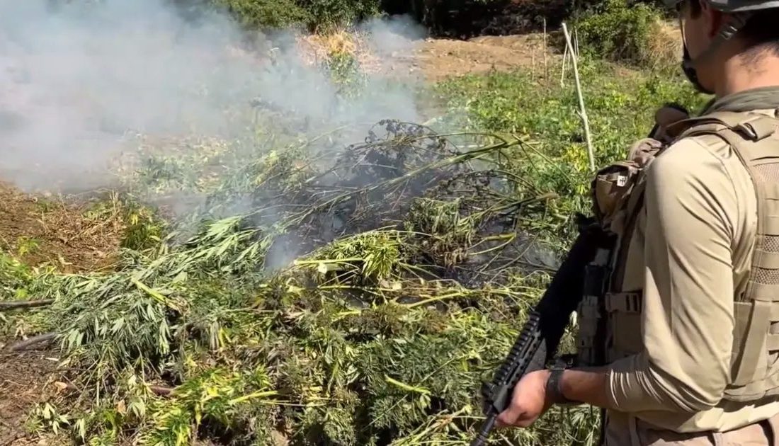 İçişleri Bakanlığı, jandarma ekiplerince düzenlenen operasyonda yaklaşık 5 ton toz