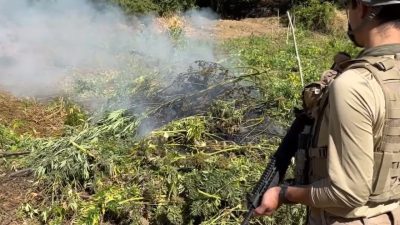 İçişleri Bakanlığı, jandarma ekiplerince düzenlenen operasyonda yaklaşık 5 ton toz