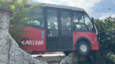 Düzce’de yola çıkan iki köpeğe çarpmamak için manevra yapan halk