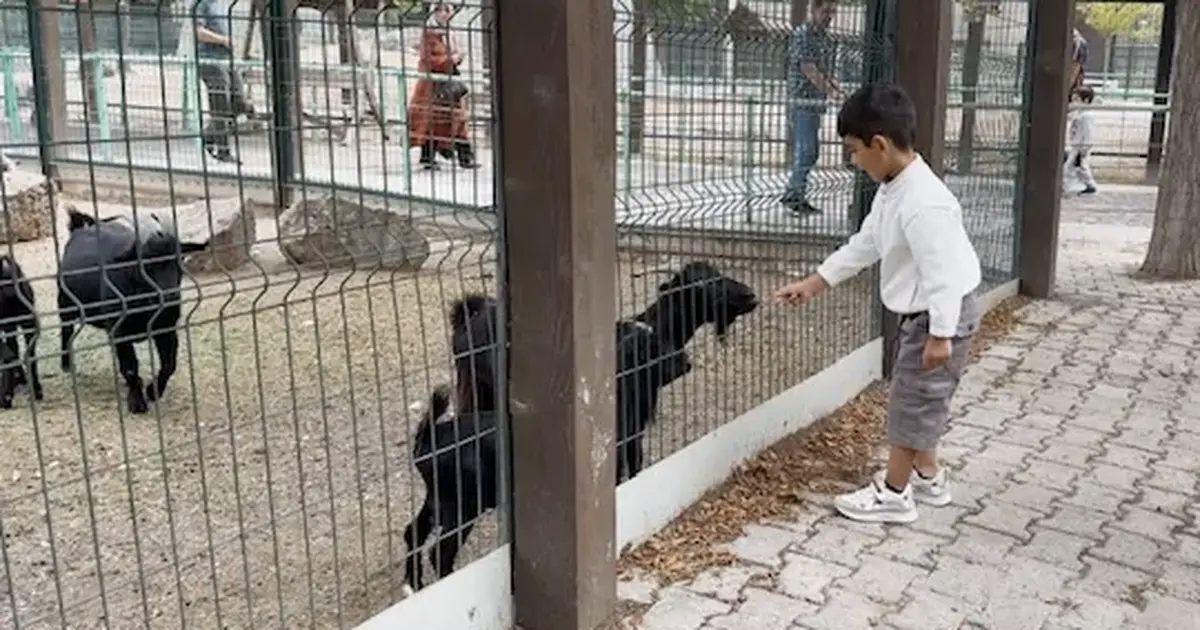 Hayvanat Bahçesi’nde 30 Ağustos bereketi