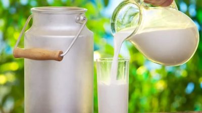 Tarım ve Orman Bakanı İbrahim Yumaklı, içme sütlerine ilişkin yeni