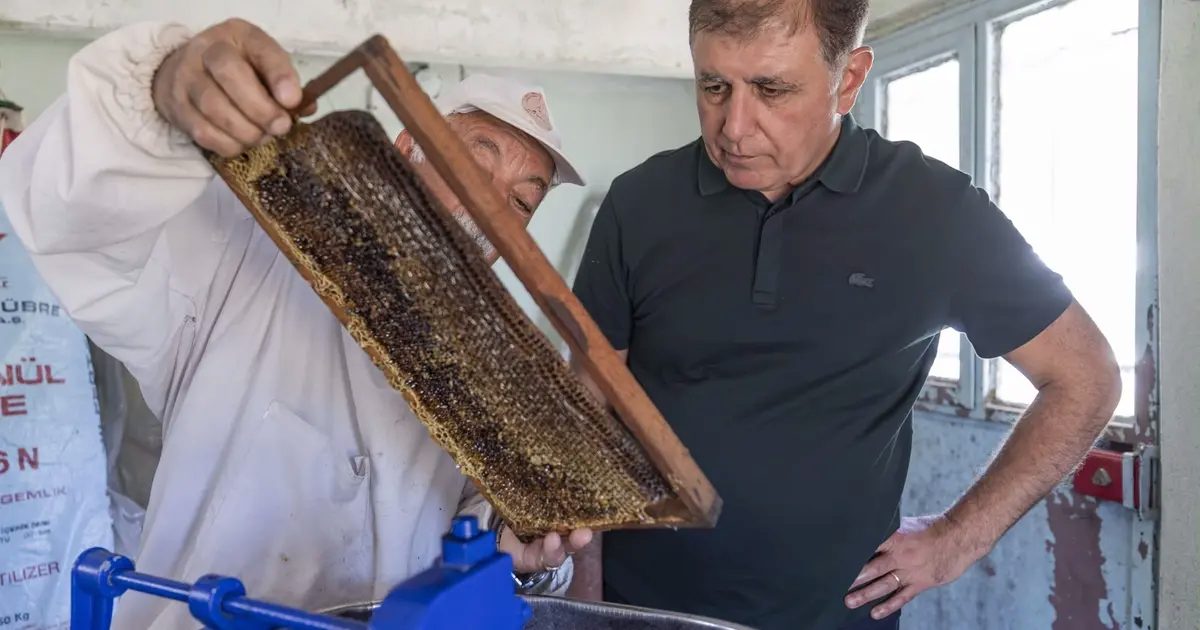 İzmir’de Başkan Tugay üreticiyle bal sağdı