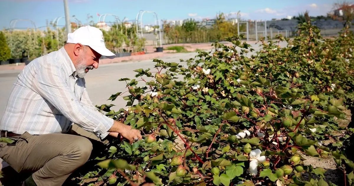 Kayseri’nin yeşil geleceği Kocasinan’da hayat buluyor