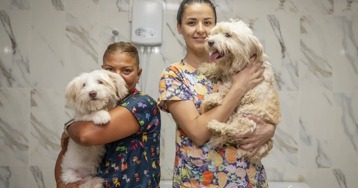 Mersin’de patili dostlar için anlamlı iş birliği