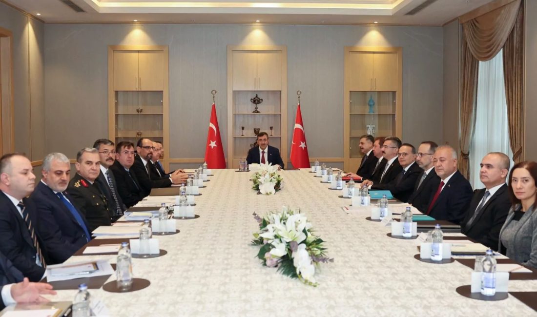 595 sayılı Kanun kapsamında oluşturulan Millî Dayanışma ve Bütünleşme Koordinasyon