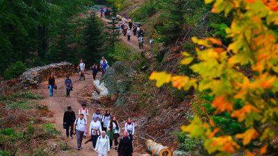 Büyükşehir’in Sonbahar Doğa Yürüyüşleri, Hendek Turnalık, Çiğdem ve Beşoluk Yaylası