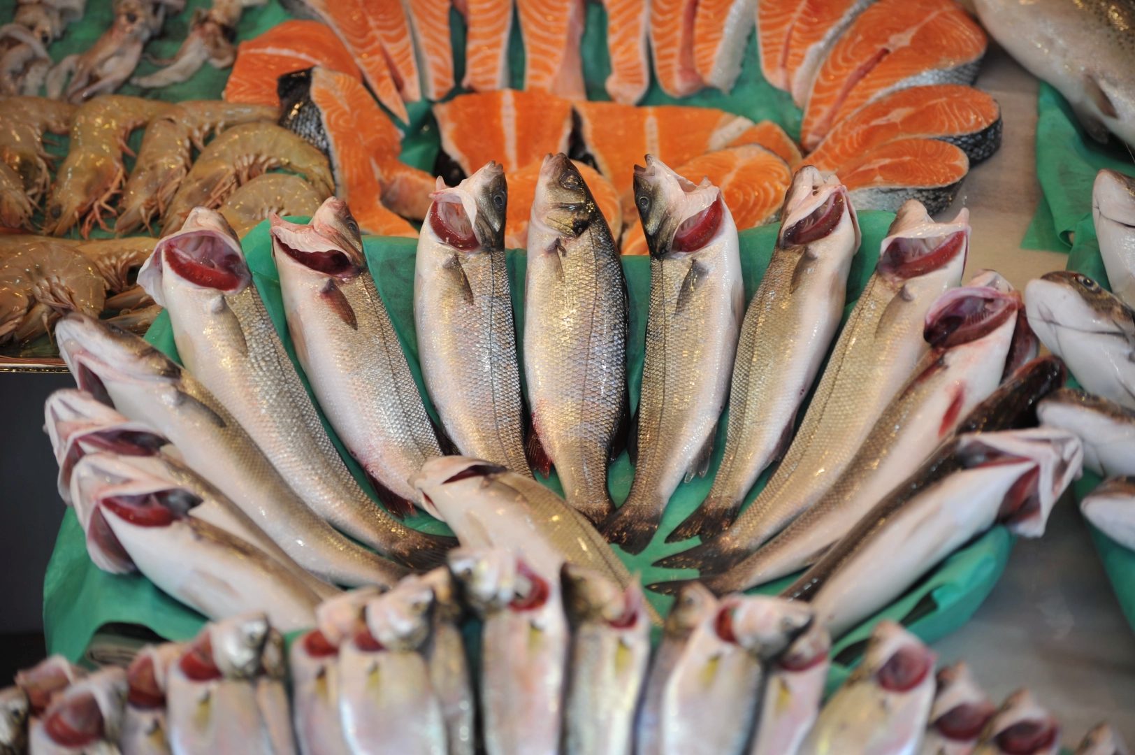 Türkiye’nin su ürünleri alanındaki tek ihtisas fuarı Future Fish Eurasia