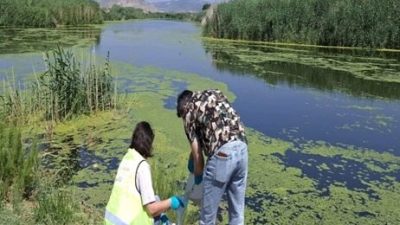 İzmir ve Manisa Büyükşehir Belediyelerinin Gediz Nehri’nde yürüttüğü ortak izleme