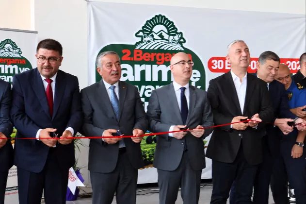 İzmir'in Bergama ilçesinde; Bergama Belediyesi, Bergama Ziraat Odası, Bergama Ticaret