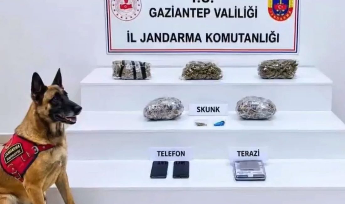 İçişleri Bakanlığı, 32 ilde uyuşturucu madde satıcılarına ve yasa dışı