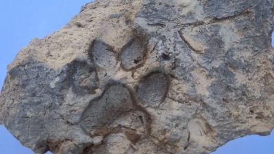 Kültür ve Turizm Bakanı Mehmet Nuri Ersoy, Kütahya’daki Tavşanlı Höyük