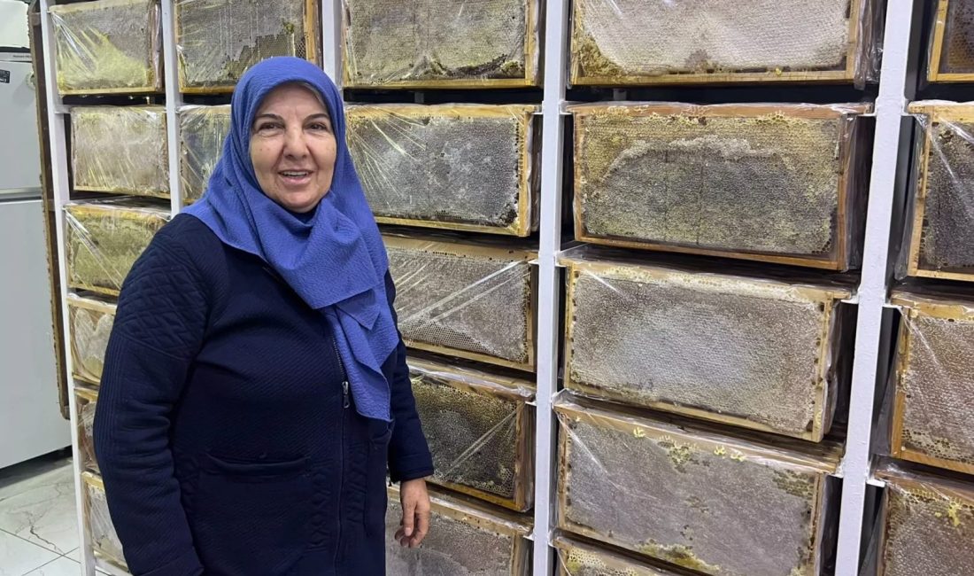 Ağrı’da hava sıcaklıklarının düşmesiyle arıcılıkta kış dönemi başladı. Aladağ Balı