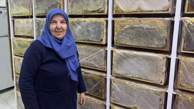 Ağrı’da hava sıcaklıklarının düşmesiyle arıcılıkta kış dönemi başladı. Aladağ Balı