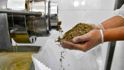 Ankara Büyükşehir Belediyesi, kuraklığa dayanıklı alternatif ürünlerin yaygınlaştırılması ve çiftçilerin