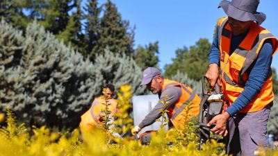 Antalya Büyükşehir Belediyesi, kentte düzenlenecek COP31 Birleşmiş Milletler İklim Değişikliği