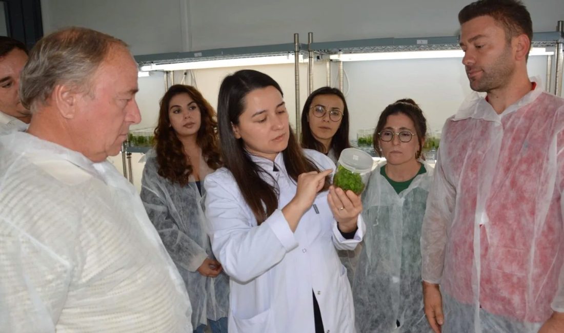 Balıkesir Büyükşehir Belediyesi Kırsal Hizmetler Daire Başkanlığı bünyesinde faaliyet gösteren