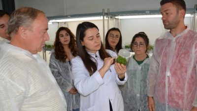 Balıkesir Büyükşehir Belediyesi Kırsal Hizmetler Daire Başkanlığı bünyesinde faaliyet gösteren