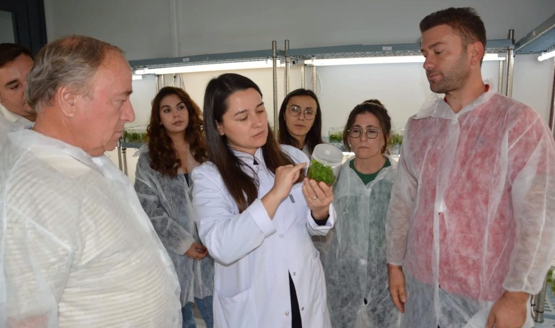 Balıkesir Büyükşehir Belediyesi Kırsal Hizmetler Daire Başkanlığı bünyesinde faaliyet gösteren