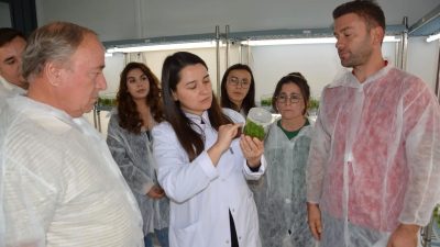 Balıkesir Büyükşehir Belediyesi Kırsal Hizmetler Daire Başkanlığı bünyesinde faaliyet gösteren
