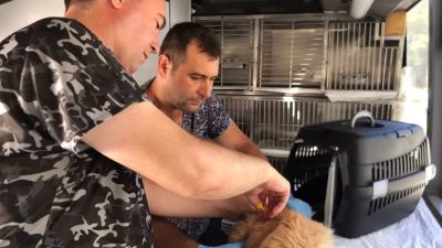 Balıkesir Büyükşehir Belediyesi’nin Can Dost Yerinde Hayvan Bakım ve Tedavi