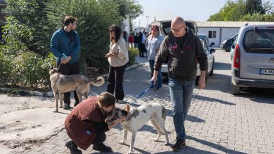 Ege Üniversitesi Rektörünün talebi ve Bornova Kaymakamının talimatıyla üniversite kampüsündeki
