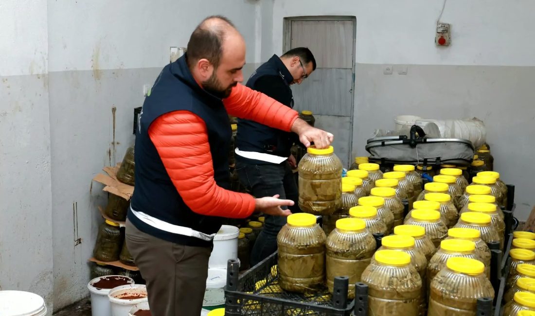 Bursa Osmangazi Belediyesi, halk sağlığını tehdit edenlere karşı denetimlerini 7
