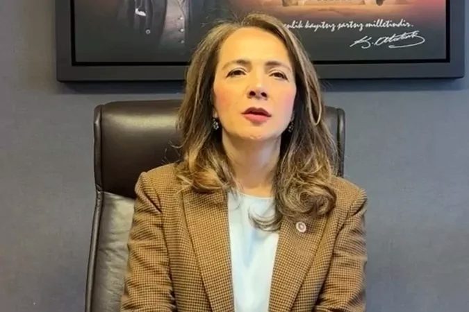 CHP Genel Başkan Yardımcısı Gamze Akkuş İlgezdi, Ulusal Taşıt Tanıma