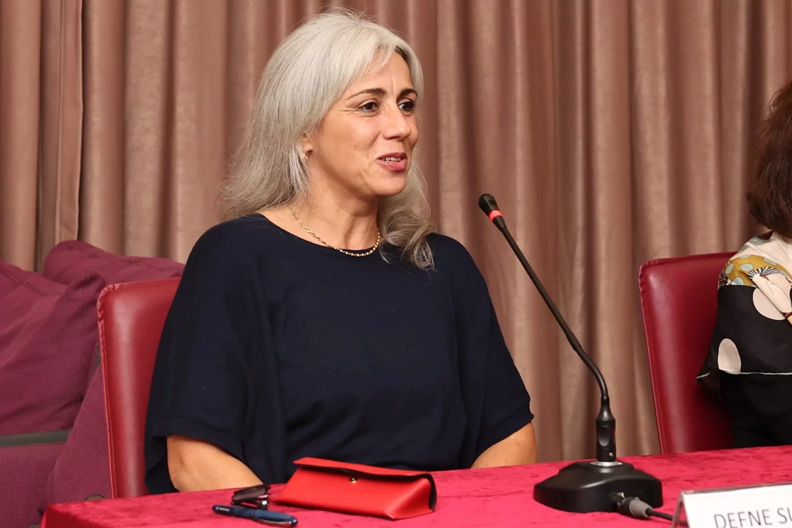 Bursa'da Nilüfer Belediyesi’nin düzenlediği Edebi Kazılar söyleşisinin konuğu Defne Suman