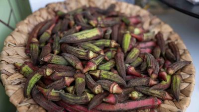 Bornova Belediyesi, Tarihi Havagazı Fabrikası’nda düzenlenen 9. İzmir GastroFest’te, ilçenin