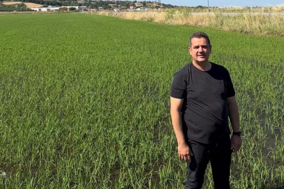 İpsala Çeltik Üreticileri Birliği Başkanı Hüseyin Bakan, yeni sezon çeltik