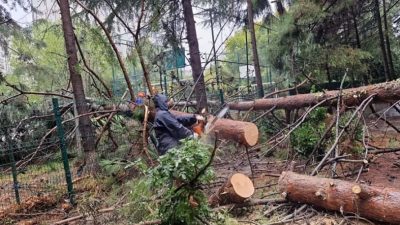 Beylikdüzü’nde etkili olan sağanak yağış nedeniyle hızla harekete geçen Beylikdüzü