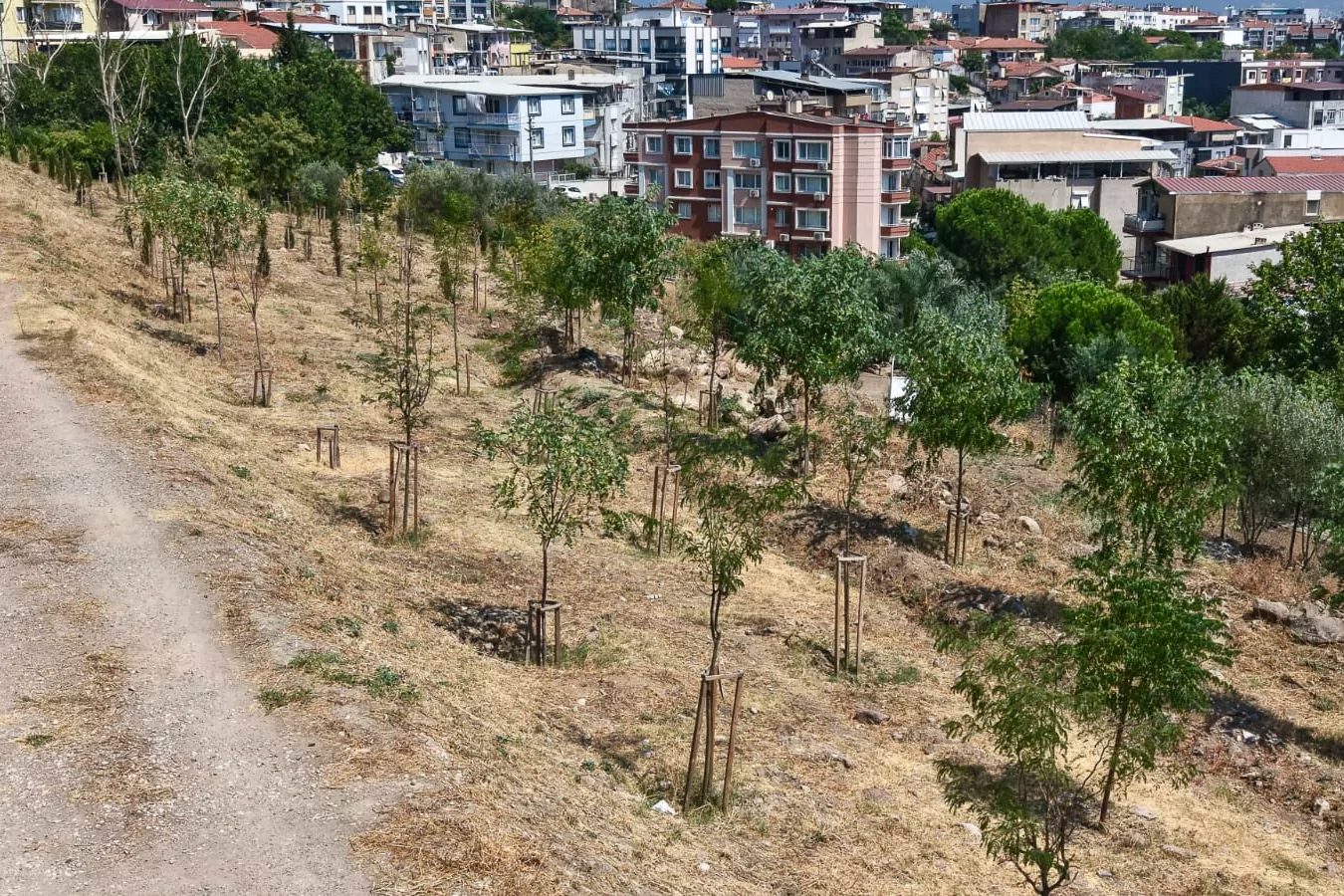 İzmir Büyükşehir Belediyesi, 13 ağaçlandırma sahasında toplam 1 milyon 522