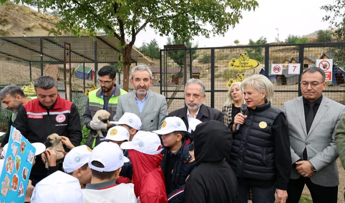4 Ekim Hayvanları Koruma Günü, Talas Pati Evi Doğal Yaşam