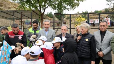 4 Ekim Hayvanları Koruma Günü, Talas Pati Evi Doğal Yaşam