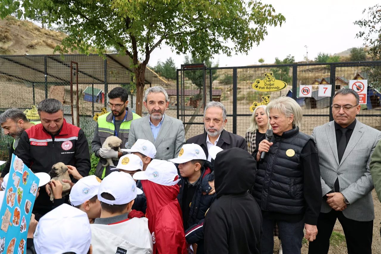 4 Ekim Hayvanları Koruma Günü, Talas Pati Evi Doğal Yaşam