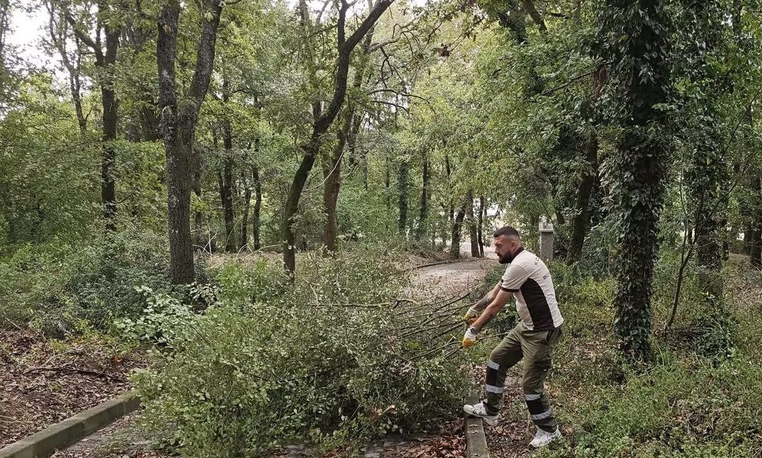 Kocaeli Büyükşehir Belediyesi, Gebze’nin kırsal mahallelerindeki mezarlıkları bakım ve düzenleme