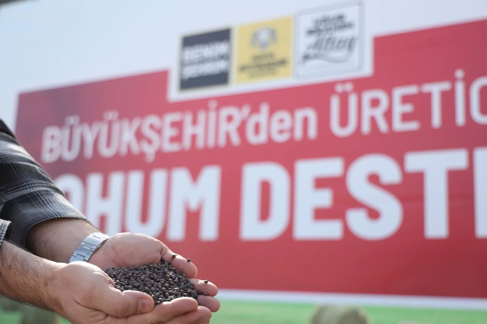 Konya Büyükşehir Belediyesi, hayvancılıkta kaba yem açığının giderilmesine katkı sağlamak
