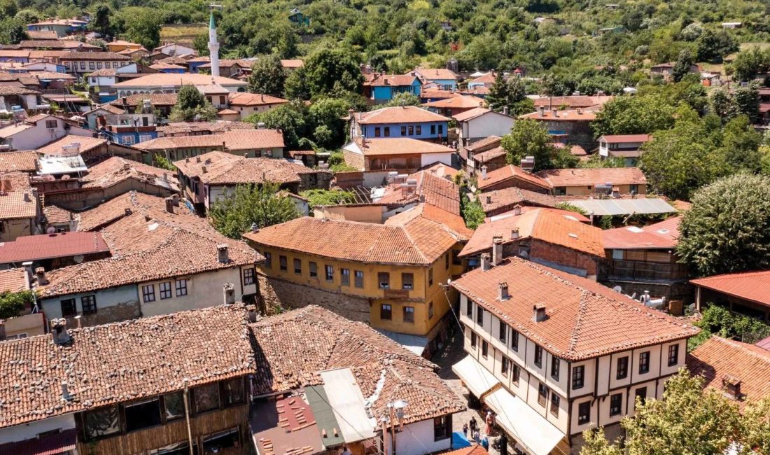 Kültür ve Turizm Bakanlığının, kültür varlıklarının korunmasına yönelik başvurular ve
