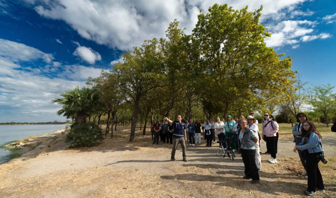 İzmir Büyükşehir Belediyesi’nin başlattığı “Parkta Etkinlik Var” programı, flamingolar ve