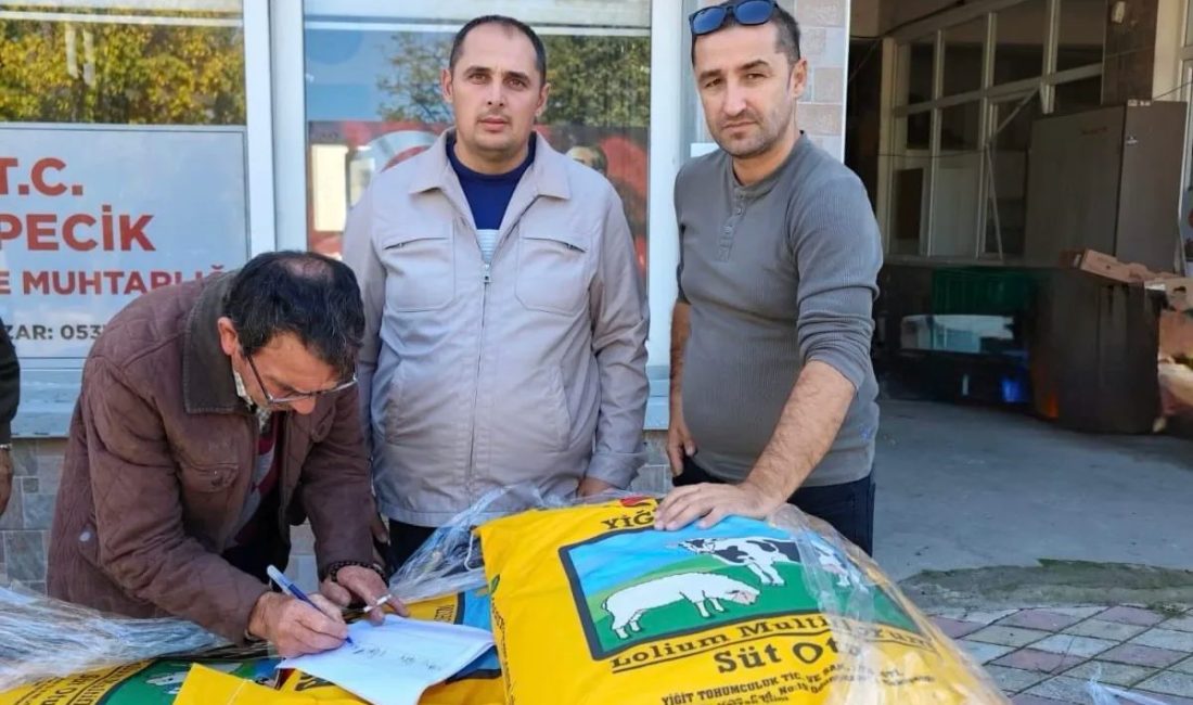 Bursa’nın Mustafakemalpaşa ilçesi Tepecik Mahallesi’nde hayvancılığı geliştirmek ve kaba yem