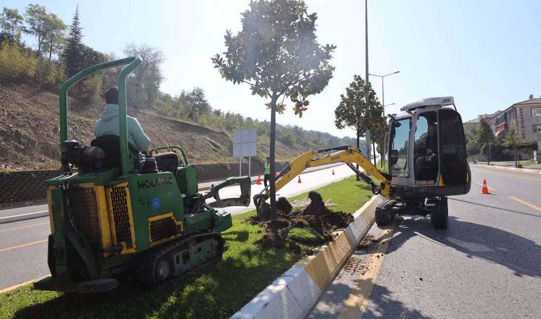 Sakarya Büyükşehir Belediyesi'nin öncülüğünde tarihte ilk kez fiilen başlayan 15,2