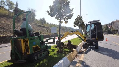 Sakarya Büyükşehir Belediyesi'nin öncülüğünde tarihte ilk kez fiilen başlayan 15,2
