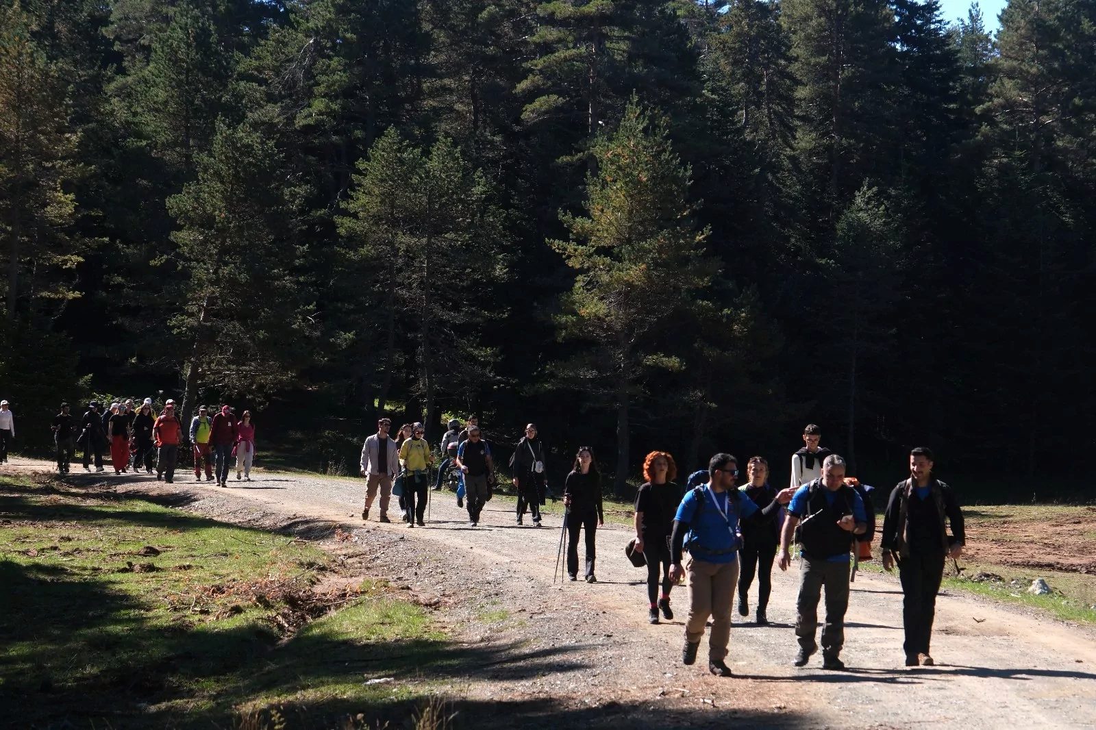 Sakarya Büyükşehir Belediyesi tarafından düzenlenen Sonbahar Doğa Yürüyüşleri, Pamukova’da yer