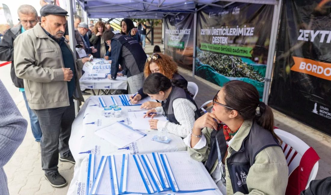 Türkiye’nin yağlık zeytin üretiminin yüzde 20’sini karşılayan İzmir’de, zeytinin geleceği